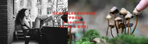 бошки Беломорск