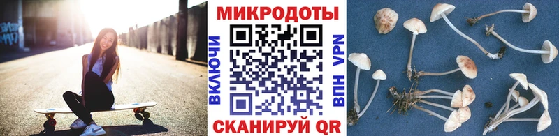 Псилоцибиновые грибы Psilocybe mega ССЫЛКА Кодинск